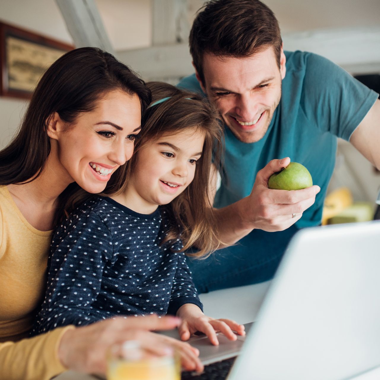 family laptop 1281
